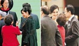 许氏夫妇互相爆料视频,一场家庭风暴的真相揭露