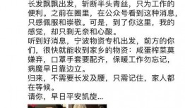 桃园日记爆料视频下载,揭秘幕后真相，带你走进事件核心