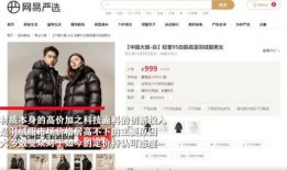 爆料大鹅解说视频网易版,揭秘游戏幕后故事与精彩瞬间