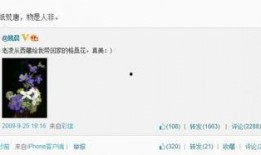 网上娱乐圈爆料假,揭秘明星真实面目，真相令人震惊！