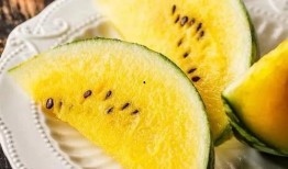 吃瓜网站最新免费入口,吃瓜网站最新免费入口大公开！独家攻略助你畅享瓜界盛宴