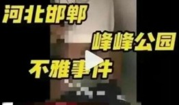 河北网上视频爆料,揭秘当地热点事件背后的真相