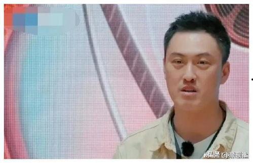 娱乐圈吃瓜前线