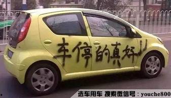 娱乐吃瓜酱买车